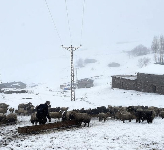 Muş'a kar yağdı, 30 köy yolu ulaşıma kapandı