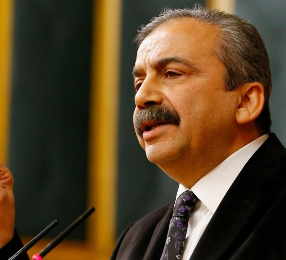 Sırrı Süreyya Önder: Milletvekilliğine hazırlıktan cezaevi hazırlığına geçtim