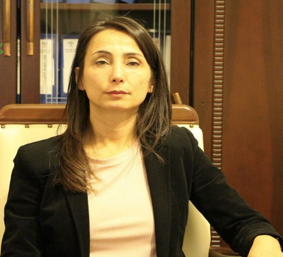 Yeşil Sol Parti adayı Hatimoğulları: Bu iktidar kesinlikle gidecek