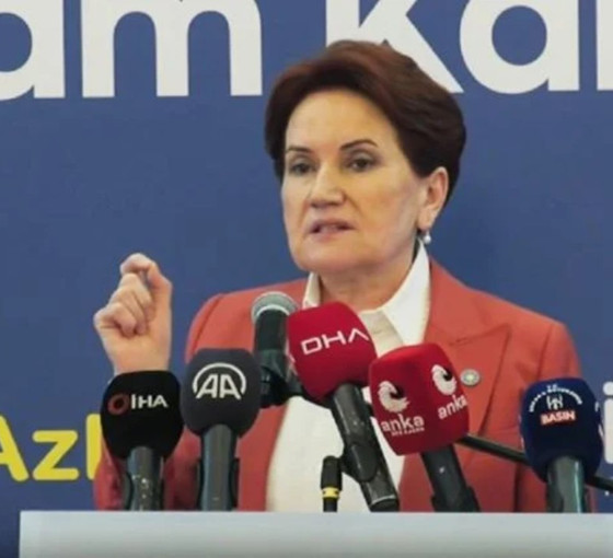 Akşener'den 'parti devleti' eleştirisi: Devlet eşittir benim diyen biriyle karşı karşıyayız