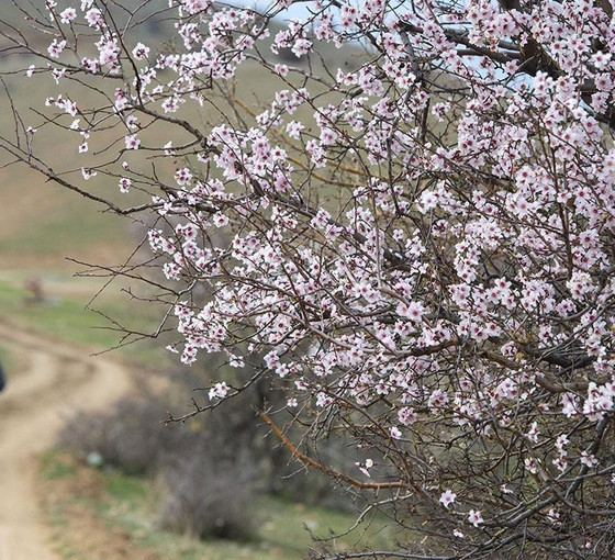 Türkiye'de 14 Mayıs seçimlerine geri sayım başladı: Gün gün neler olacak?