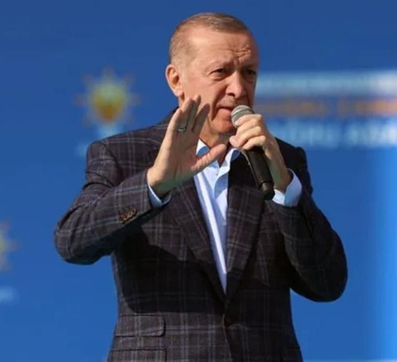 Erdoğan’ın türü nedir?