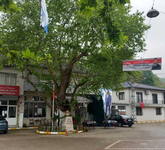 Yalova'da kendi köyünden bile Muharrem İnce'ye 'tam destek' yok, Yeşil Sol vekil sürprizi yapabilir