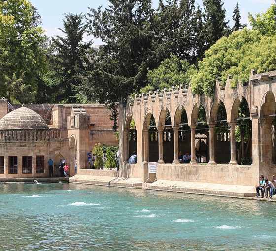 2023 seçim sonuçları: Şanlıurfa'da hangi partiler kazandı? Seçilen milletvekilleri listesi