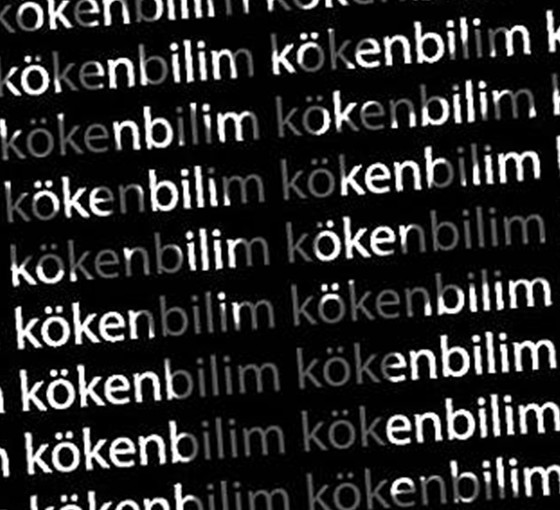 Nüansların Değerini Bilmek 2: İmrenmek
