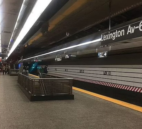 New York metrosunda Türkiyeli kadına saldırı: Boynu ve omurgası kırılan Emine Özsoy'un durumu ağır