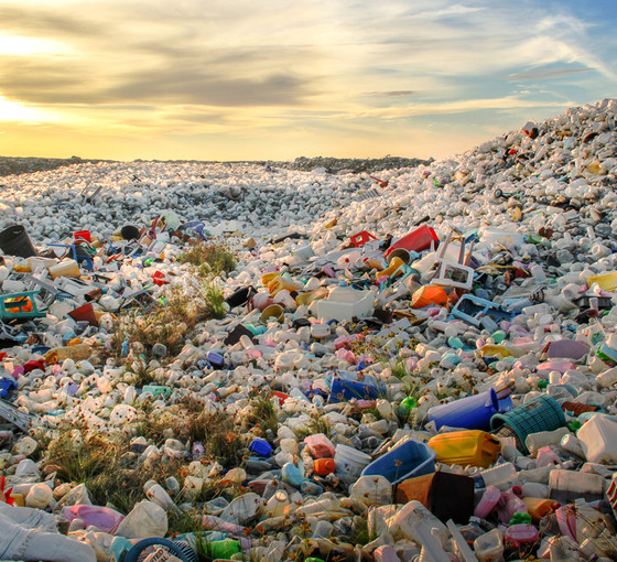 TEMA'dan Dünya Çevre Günü açıklaması: Plastikler anne karnına, insan kanına kadar girdi