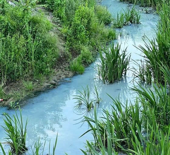 Arnavutköy'de derenin rengi maviye döndü: İSKİ açıklama yaptı