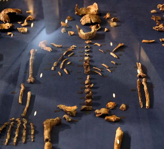 Bilim insanlarından evrime bakışı değiştirecek keşif iddiası: 200 bin yıllık Hominid mezarlığı bulundu