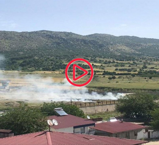 Lice'de hint kenevirleri yakıldı, ilçe duman altında kaldı