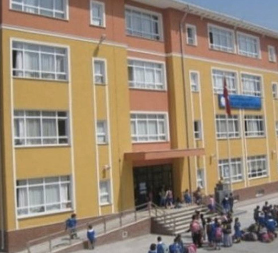 MEB istatistikleri 'Kız okulları' isteyen Bakan Tekin'in aksini söylüyor