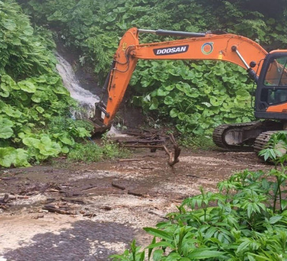 Ordu'da sağanak, 94 noktada heyelana yol açtı