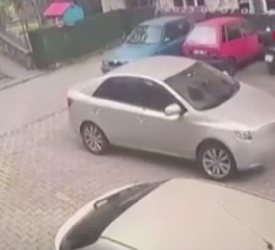 Kartal'da otomobilin ezdiği köpek öldü