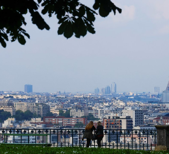 Paris belediyesi, 'farelerle birlikte yaşamı’ incelemek için komite kuracak
