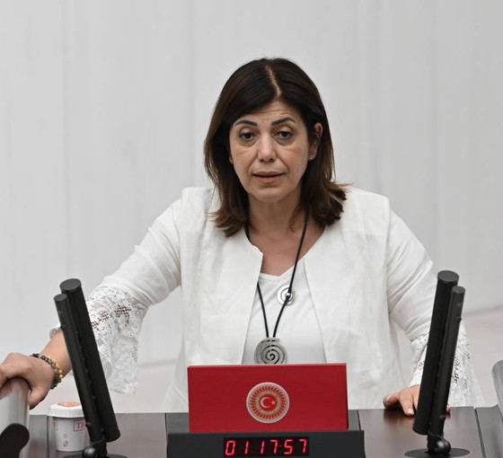 Brezilya’dan Türkiye’ye getirilen çocuklar Meclis gündeminde: Meral Danış Beştaş, yasal dayanağını sordu