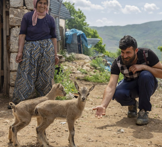 Öksüz kalan ikiz yaban keçileri 'Munzur' ve 'Dersim' besici aileye emanet