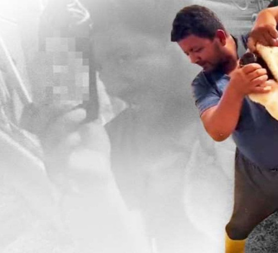Hayvana işkenceden değil 'eski cezasından' tutuklandı