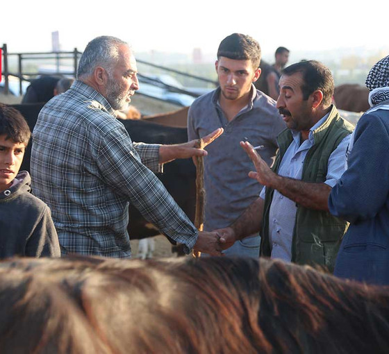 Diyarbakır’da kurbanlık pazarı durgun: Fiyat 150 bin TL’ye çıktı