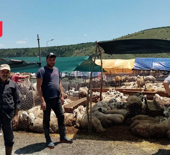Ankara kurban pazarına ne gelen var ne giden: ‘Bu işi yapmayalım diye ellerinden geleni yapıyorlar’