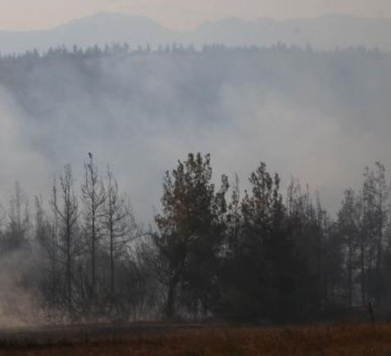 Adana'daki orman yangını kontrol altına alındı