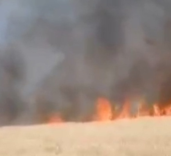 Diyarbakır'da bir izmarit, 150 dönüm buğdayı yaktı