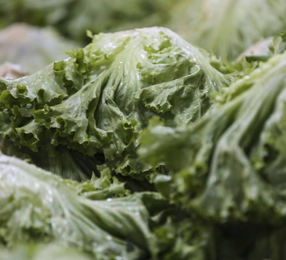Haziran ayının zam şampiyonu kıvırcık salata oldu