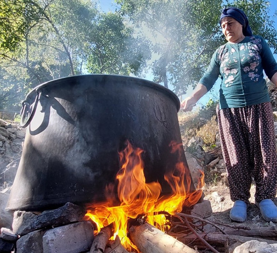 Dersim'de köylüler dut hasadı ve pekmez yapımına başladı
