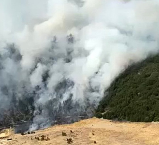 Kaş'ta makilik alanda yangın kontrol altına alındı