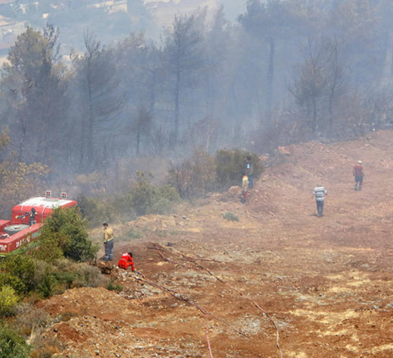 Hatay'da yangına sebebiyet veren dört kişi yakalandı