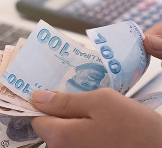 Kedilere kezzap ve asit döken saldırgana 91 bin TL para cezası