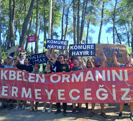Meclis yarın toplanacak: Akbelen, ormanı için Ankara'ya gidiyor