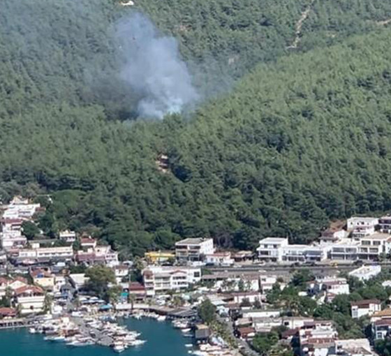 Bodrum'da çıkan orman yangını kontrol altına alındı