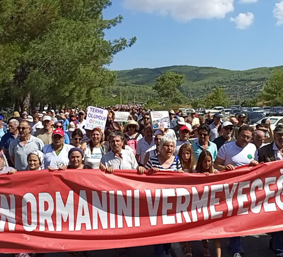 Akbelen Ormanı'ndaki kesimi destekleyen muhtarlar da Ankara'ya gidiyor