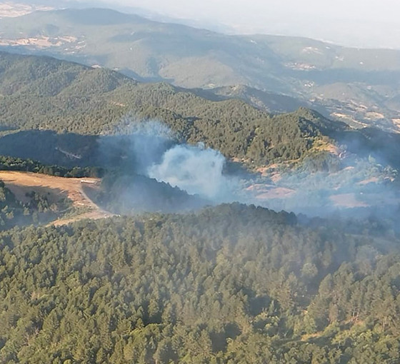 Balıkesir İvrindi'de çıkan orman yangını kontrol altına alındı