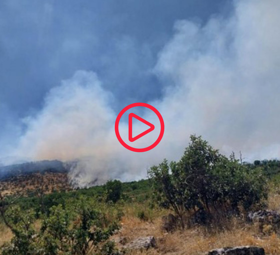 Lice’deki yangın için acil müdahale çağrısı