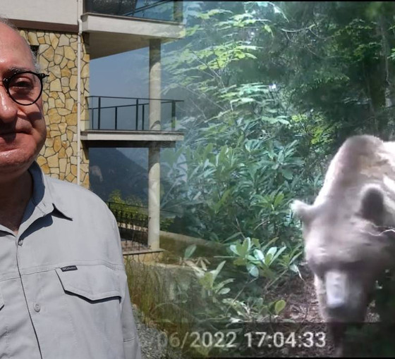 Bahçesini kurtardı ama komşulara dadandı... Mikdat Kadıoğlu'ndan 'ayı' tepkisi: Ayım kayboldu, hükümsüzdür