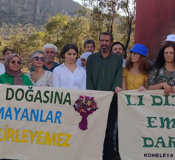 Yeşil Sol Diyarbakır milletvekilli Ceylan Akça: Lice'deki yangılar da, müdahale biçimleri de politik