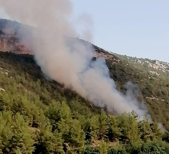 Mersin'de orman yangını çıktı