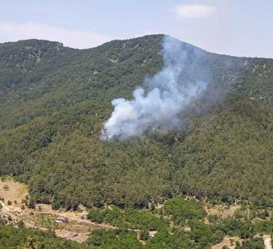 İskenderun'daki orman yangını kontrol altına alındı