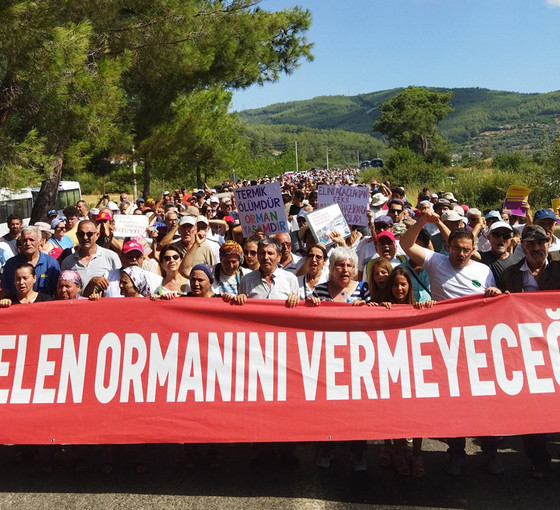 İkizköy Çevre Komitesi'nden Akbelen'deki talan için suç duyurusu