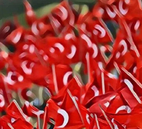 Tek millet, iki Türkiye