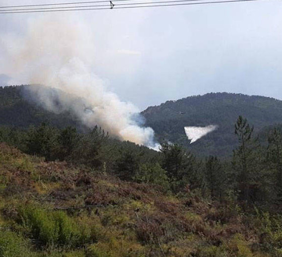 Bolu'daki orman yangını 6 saatte kontrol altına alındı