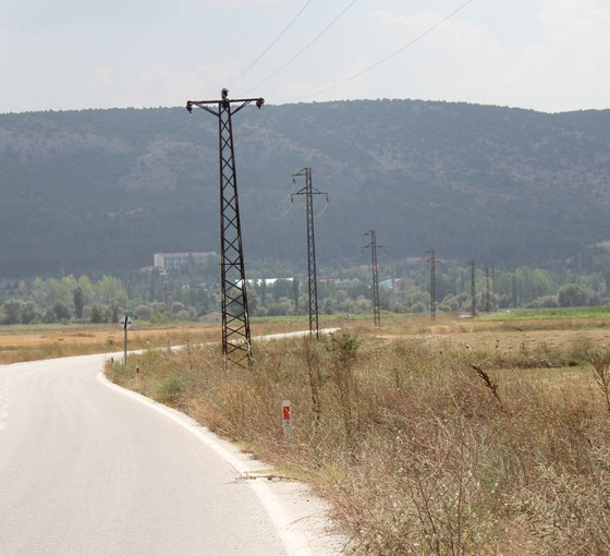 Kütahya'da elektrik direklerinde akıma kapılan 50'ye yakın leylek öldü