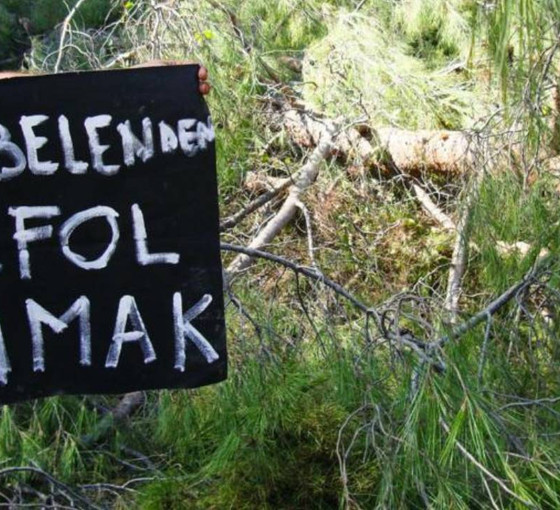 İkizköy Çevre Komitesi'nden BM'ye 'Akbelen' çağrısı: Limak ile iş birliğini sonlandır