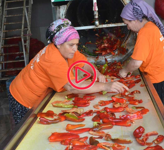 Adana'da biber salçası mesaisi başladı: Ürün az, fiyat pahalı