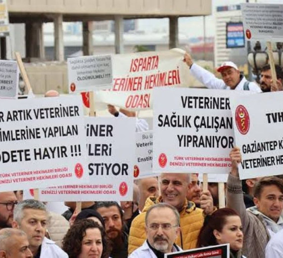 Veteriner hekimler şiddete karşı iş bıraktı: Sağlıkta Bakanlığı kapsamına alınmamamız mağdur ediyor