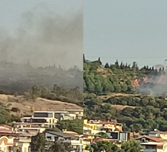 İzmir'deki orman yangını kontrol altına alındı