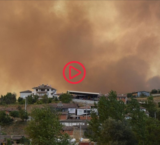 Bilecik'te kontrol altına alınan orman yangını tekrar başladı