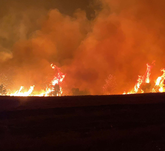 Çanakkale orman yangını sürüyor: Sadece ilk 9 saatte 5 bin hektar alan yandı