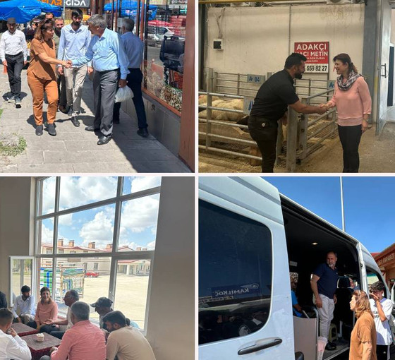 Meral Danış Beştaş'tan Erzurum'a ziyaret: Hayvancılığa dair sorunlara dikkat çekti, 'takipçisi olacağız' dedi
